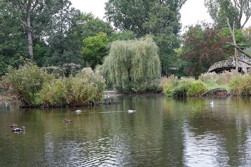 vijver van Joop Kalshoven