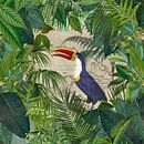 Tropische Reise  Des Tukans von Andrea Haase Miniaturansicht