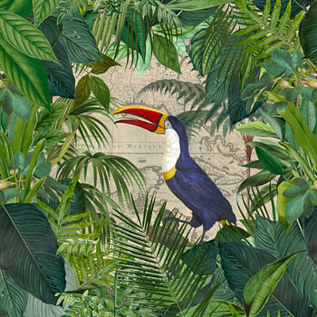 Tropical Journey Of The Toucan