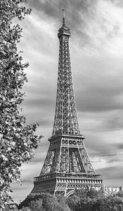 Paris Fine Art von Rob van der Teen