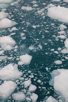 IJsschotsen in de zee | reisfotografie fine art print | Ilulissat Groenland van Kimberley Jekel