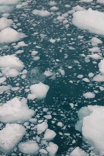 IJsschotsen in de zee | reisfotografie fine art print | Ilulissat Groenland