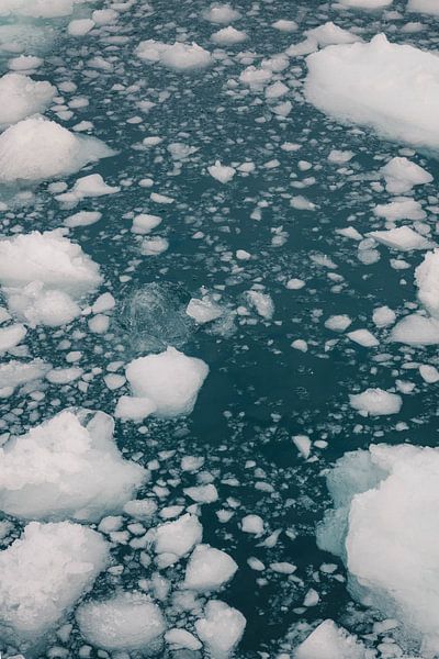 Ice floes in the sea | travel photography fine art print | Ilulissat Greenland by Kimberley Jekel