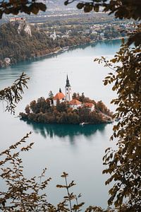 L'île du lac Bled | Slovénie
