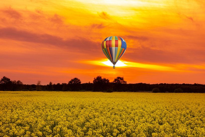 Rapeseed fields in the Netherlands. by Gert Hilbink