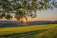 Coucher de soleil