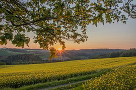 Zonsondergang van Robin Feldmann