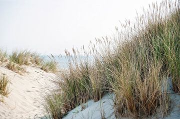 Dunes avec herbe plage et vue sur la mer sur Anouschka Hendriks