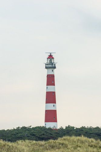 Ameland