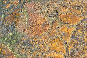 Colourful abstract swamp landscape seen from above.
