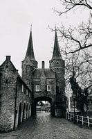 Delft - Eastern Gate