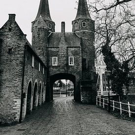 Delft - Oostelijke Poort van Emily Rocha