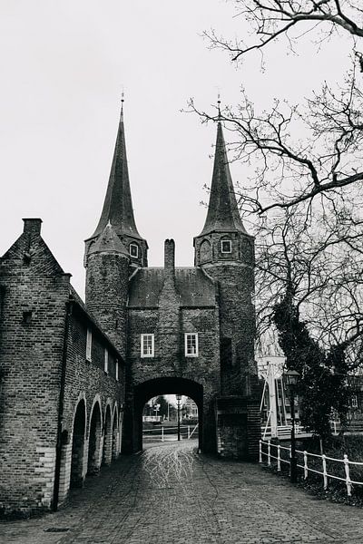 Delft - Eastern Gate by Emily Rocha