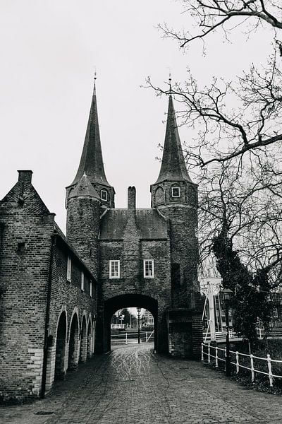 Delft - Osttor von Emily Rocha