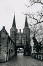 Delft - Eastern Gate by Emily Rocha thumbnail