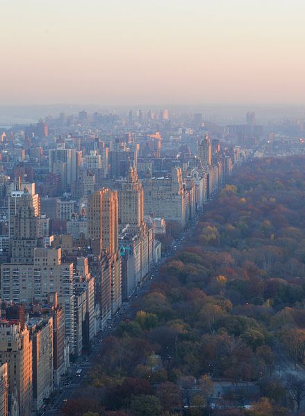 Central Park New York par Robert Styppa