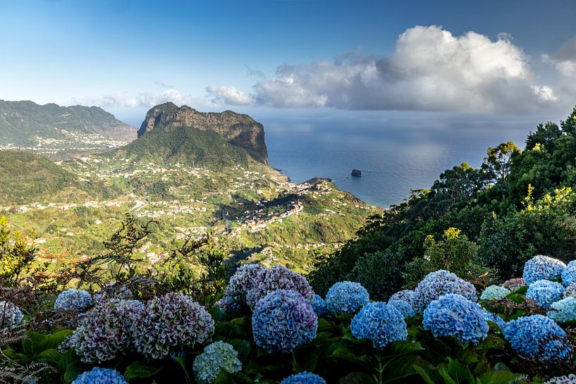 Vue de Porto da Cruz par Anneke Hooijer