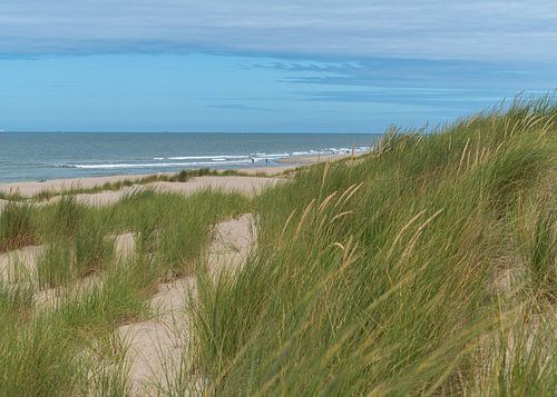 Struinen door de duinen
