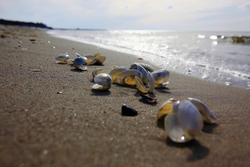 Plage de la mer Baltique par Thomas Jäger