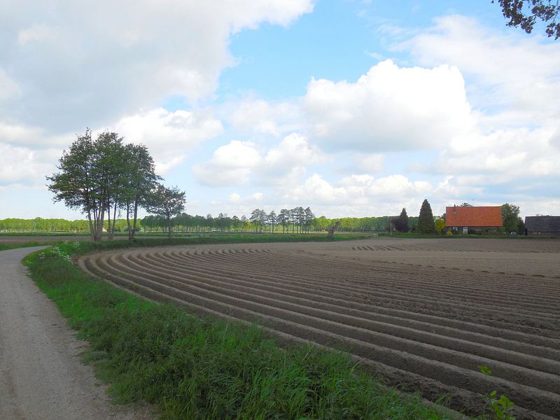 Achterhoek landscape in the Netherlands by Joke te Grotenhuis