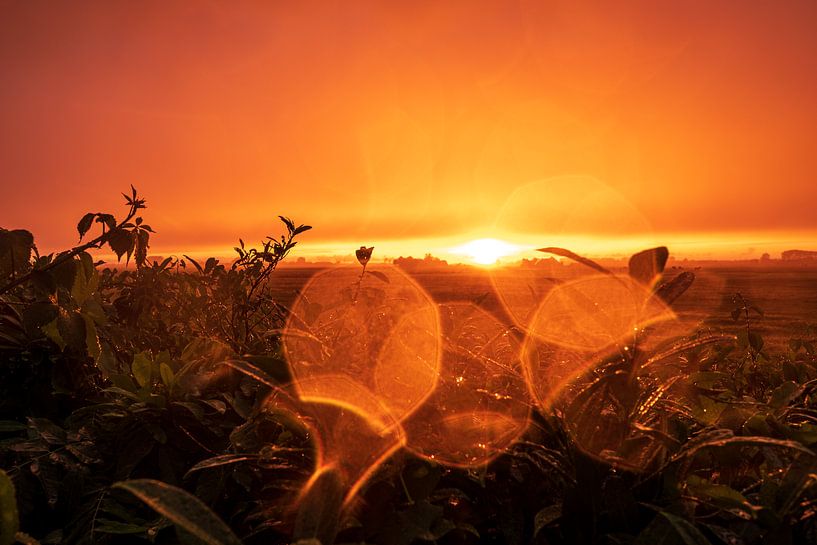 Zonsondergang na regen vanuit mijn achtertuin van Evert Jan Luchies