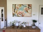 Photo de nos clients: Fleur de printemps magnolia 6 par Joske Kempink
