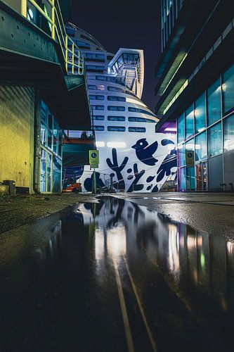 Cruise Terminal Rotterdam van Bob Vandenberg