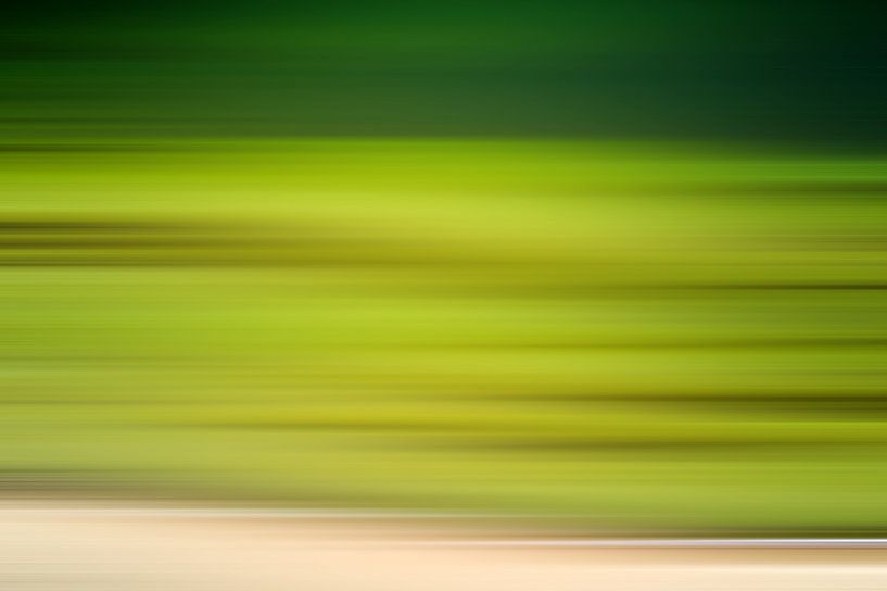 Abstract Nature von Stefan Dinse