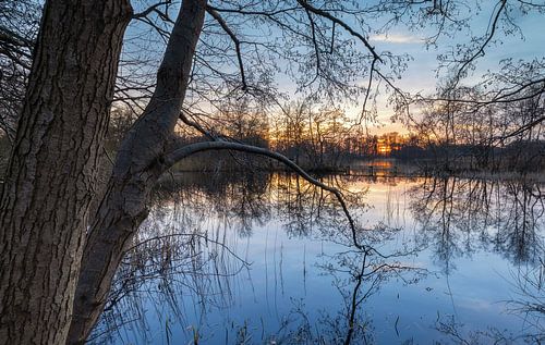 Sonnenuntergang Elsburger Onland Groningen (Niederlande)