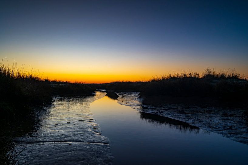 Schiermonnikoog vroege winterochtend zonsopgang op de kwelder van Sjoerd van der Wal Fotografie