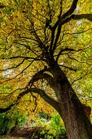 Colourful Autumn