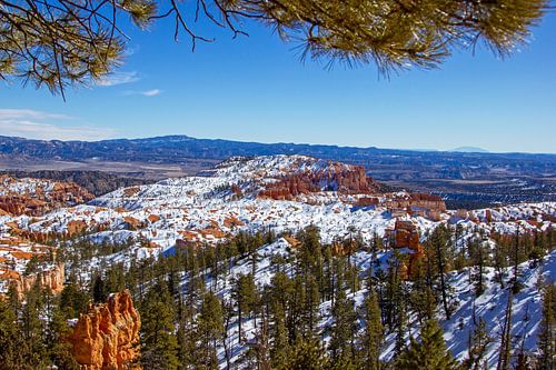 Bryce Canyon National Park in de winter, Utah, Verenigde Staten