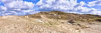 Dünen bei Bergen aan Zee von eric van der eijk Miniaturansicht