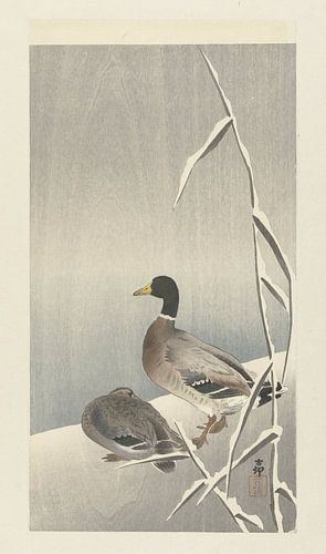 Twee eenden op besneeuwde rietover, Ohara Koson