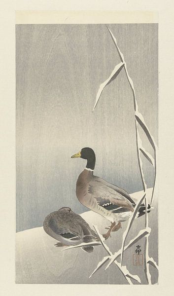 Two ducks on a snowy reed, Ohara Koson by Creative Masters