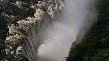 Des masses d'eau dévalent les chutes Victoria sur Timon Schneider