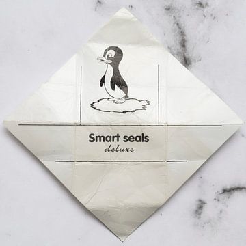 Kabouterpost Smart Seal 2 op marmer van Floris Kok