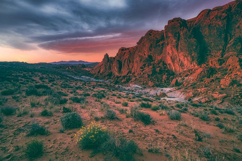 Feuriger Himmel im Fire Valley von Loris Photography