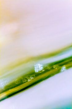 Lichtvlokken - abstracte fotografie in pasteltinten
