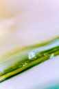 Light flakes - abstract photography in pastel shades by QEIMOY thumbnail