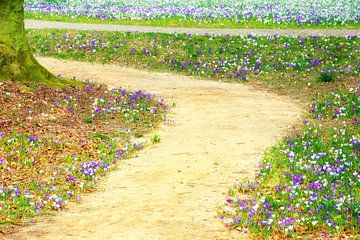 Le chemin des crocus sur Jessica Berendsen