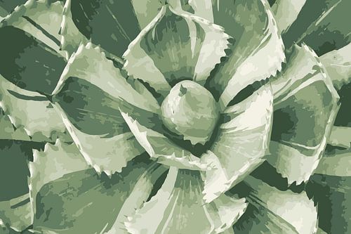 Vetplant in lichte tinten groen