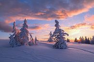 Berglandschap "Zonsondergang in de Winter" van Coen Weesjes thumbnail