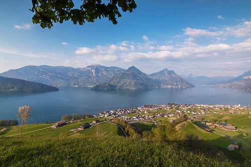 View on Beckenried at the Vierwaldstättersee