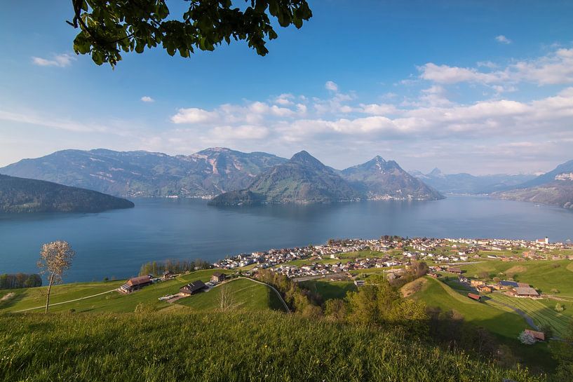 View on Beckenried at the Vierwaldstättersee by Ilya Korzelius
