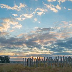 Zonsopkomst bij de grafheuvels op de Regte Heide. van Miranda Rijnen Fotografie