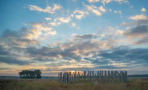 Zonsopkomst bij de grafheuvels op de Regte Heide.