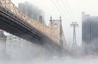 Queensboro Bridge  New York City van Marcel Kerdijk thumbnail