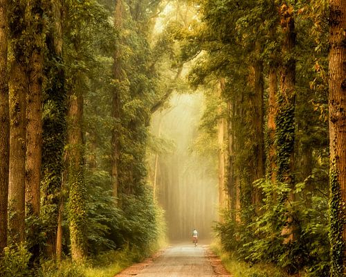 La Cathedrale Naturelle III
