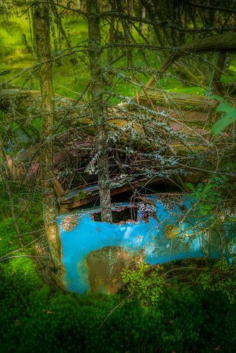Ake's autokerkhof Krykö Mosse-41
